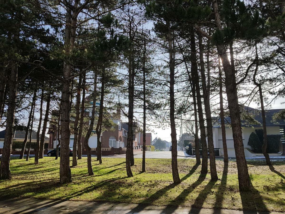 Sunny Days - App 60 M2 Avec Balcon, 4 Pers, 3E Etage, Au Calme Et Ensoleille Lägenhet Le Touquet Exteriör bild